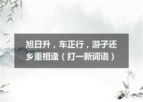 旭日升，车正行，游子还乡重相逢（打一新词语）
