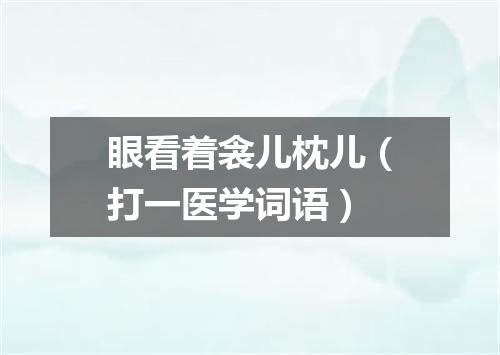 眼看着衾儿枕儿（打一医学词语）
