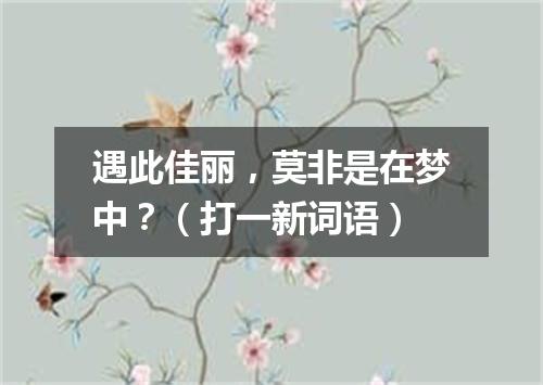 遇此佳丽，莫非是在梦中？（打一新词语）