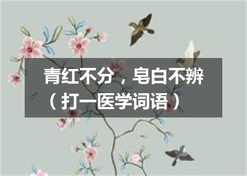 青红不分，皂白不辨（打一医学词语）