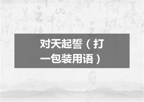 对天起誓（打一包装用语）