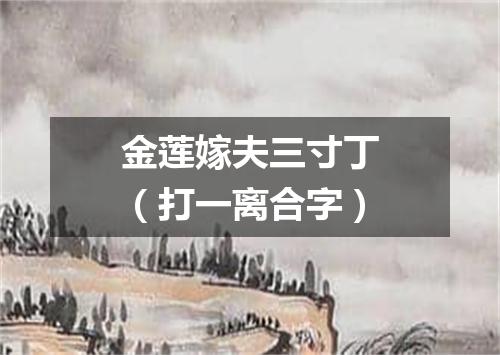 金莲嫁夫三寸丁（打一离合字）