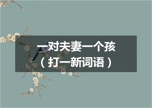 一对夫妻一个孩（打一新词语）