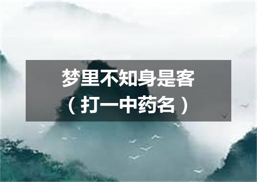 梦里不知身是客（打一中药名）