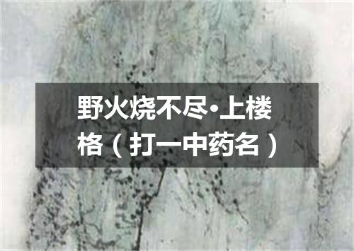 野火烧不尽·上楼格（打一中药名）