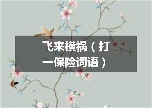 飞来横祸（打一保险词语）