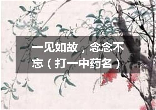 一见如故，念念不忘（打一中药名）
