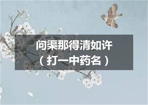 问渠那得清如许（打一中药名）