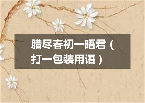 腊尽春初一晤君（打一包装用语）