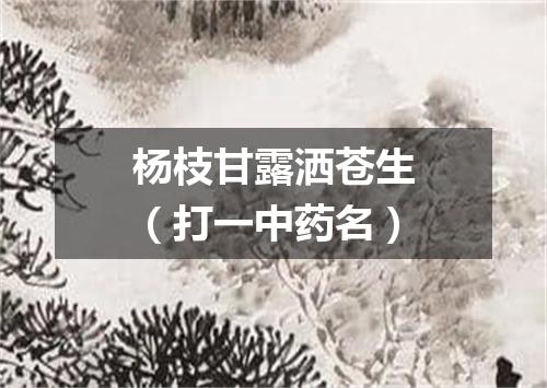 杨枝甘露洒苍生（打一中药名）