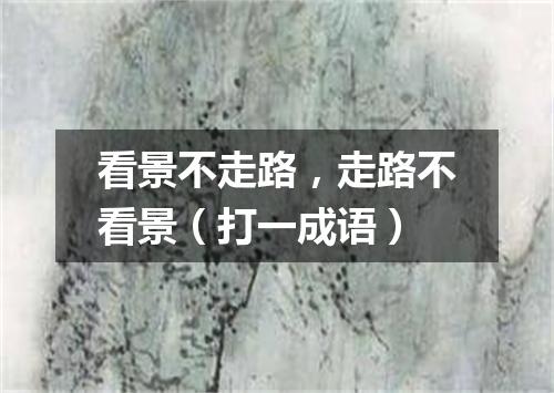 看景不走路，走路不看景（打一成语）