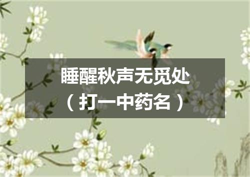 睡醒秋声无觅处（打一中药名）