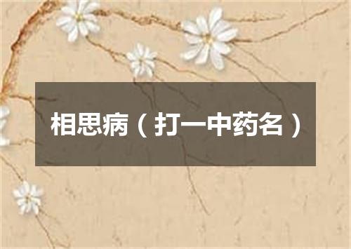 相思病（打一中药名）