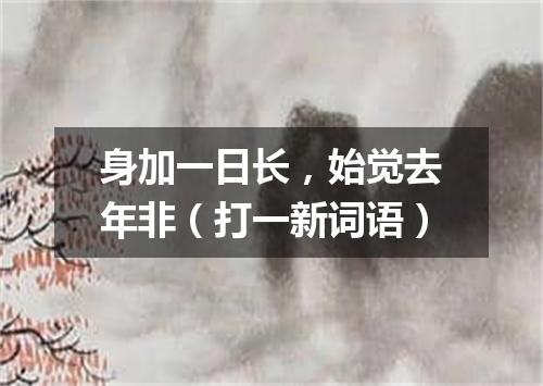 身加一日长，始觉去年非（打一新词语）