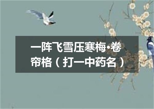 一阵飞雪压寒梅·卷帘格（打一中药名）