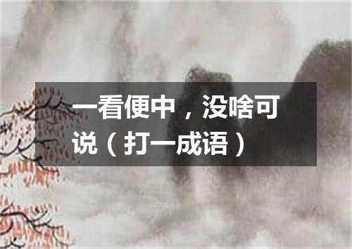 一看便中，没啥可说（打一成语）
