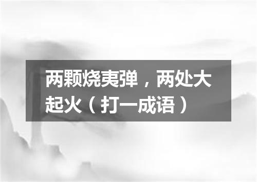 两颗烧夷弹，两处大起火（打一成语）