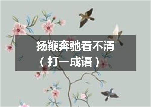 扬鞭奔驰看不清（打一成语）