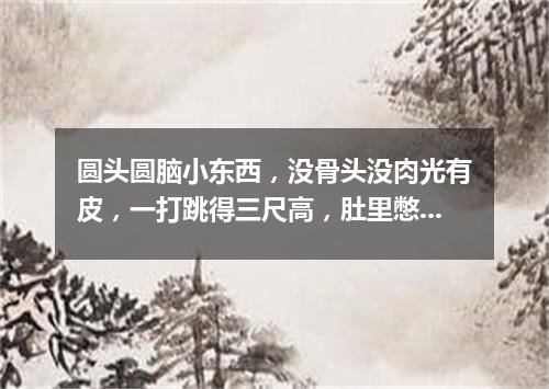 圆头圆脑小东西，没骨头没肉光有皮，一打跳得三尺高，肚里憋着一包气。（打一体育器材）