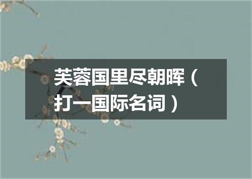 芙蓉国里尽朝晖（打一国际名词）