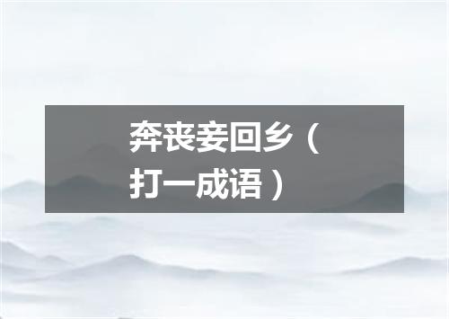 奔丧妾回乡（打一成语）