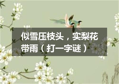 似雪压枝头，实梨花带雨（打一字谜）