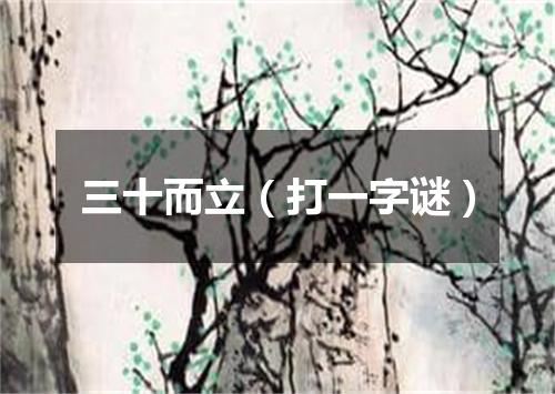 三十而立（打一字谜）