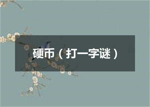 硬币（打一字谜）