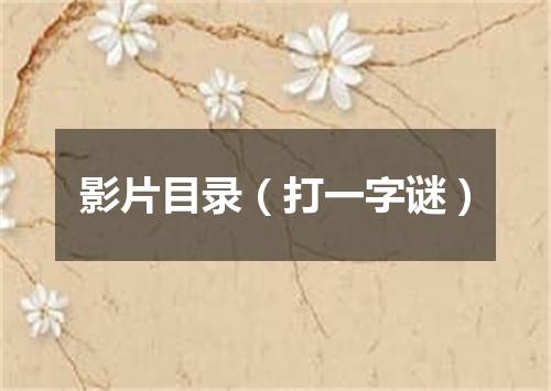 影片目录（打一字谜）