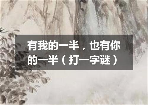 有我的一半，也有你的一半（打一字谜）