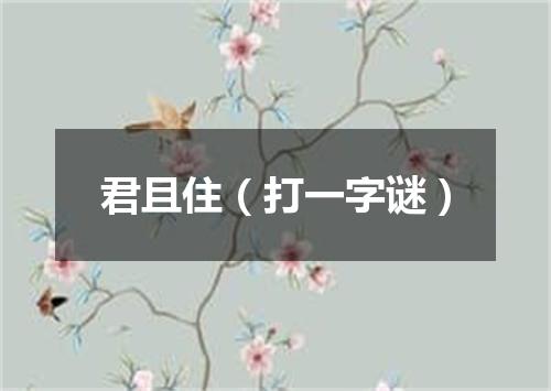 君且住（打一字谜）