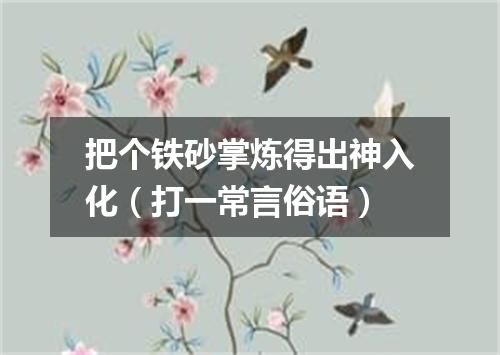 把个铁砂掌炼得出神入化（打一常言俗语）