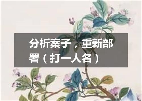 分析案子，重新部署（打一人名）