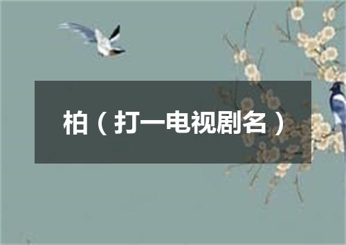 柏（打一电视剧名）