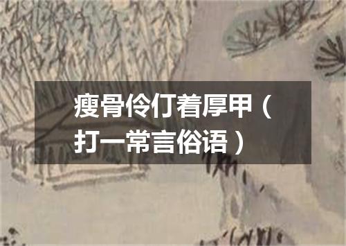 瘦骨伶仃着厚甲（打一常言俗语）