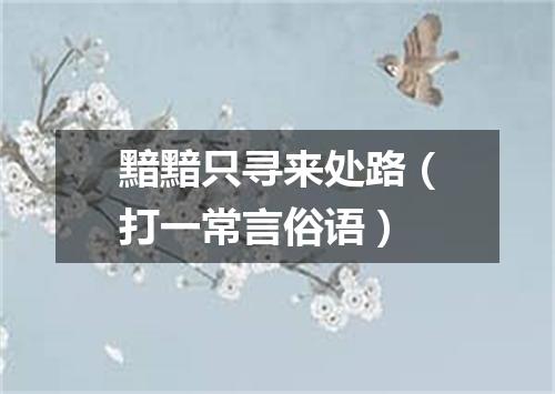 黯黯只寻来处路（打一常言俗语）