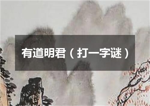 有道明君（打一字谜）