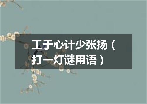 工于心计少张扬（打一灯谜用语）