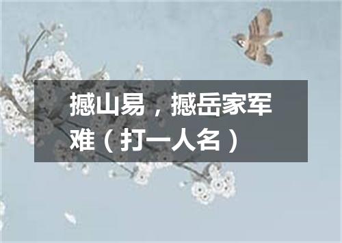 撼山易，撼岳家军难（打一人名）