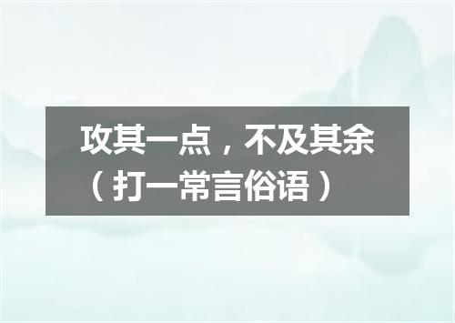 攻其一点，不及其余（打一常言俗语）