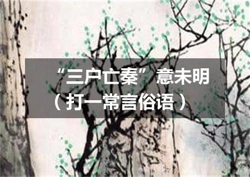 “三户亡秦”意未明（打一常言俗语）