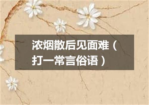浓烟散后见面难（打一常言俗语）