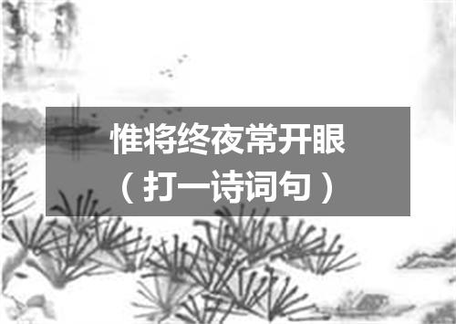 惟将终夜常开眼（打一诗词句）