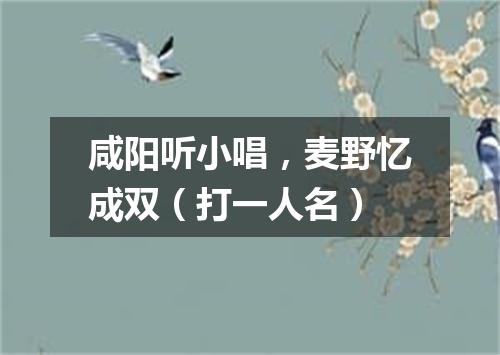 咸阳听小唱，麦野忆成双（打一人名）