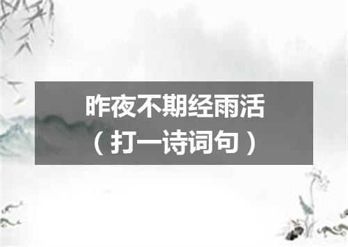 昨夜不期经雨活（打一诗词句）