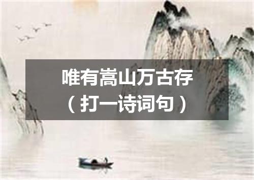 唯有嵩山万古存（打一诗词句）