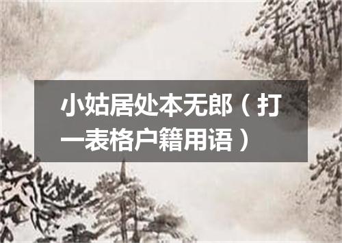 小姑居处本无郎（打一表格户籍用语）