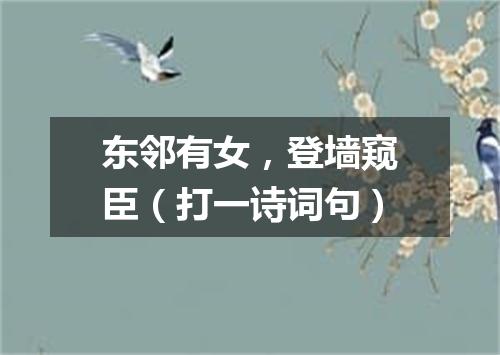 东邻有女，登墙窥臣（打一诗词句）