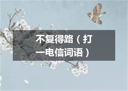 不复得路（打一电信词语）