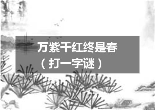 万紫千红终是春（打一字谜）